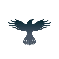 RAVEN_Raven Protocol_RAVEN交易所_RAVEN币
