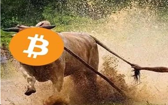 比特币越走越高 但它还能保持“一骑绝尘”多长时间？