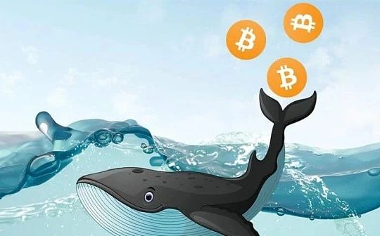 真实数据：比特币新高之前“巨鲸”已开始倾销 抛售超93000枚BTC
