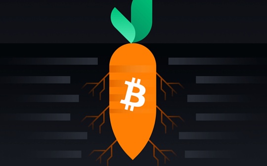 金色观察 | 什么是BTC Taproot升级？